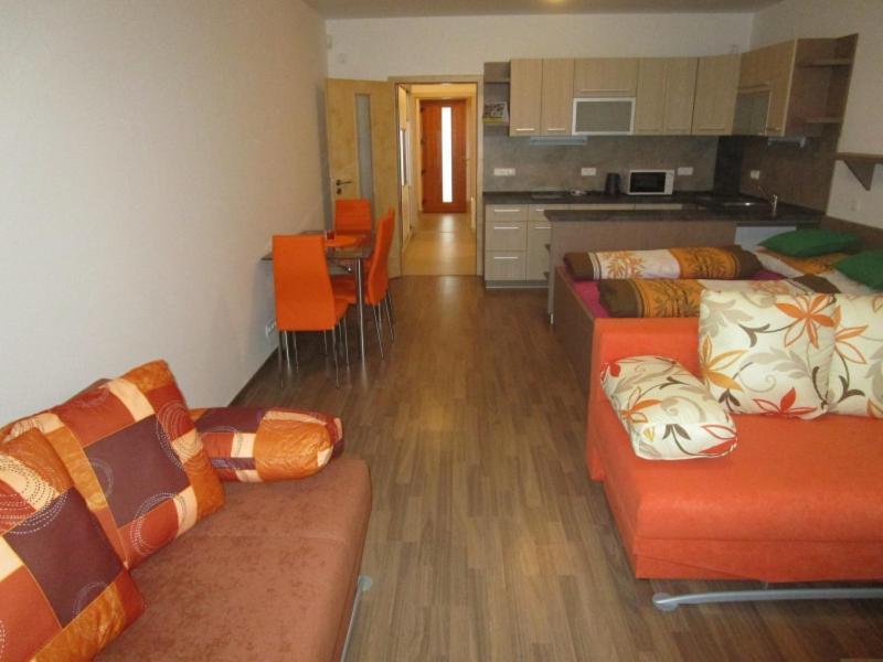 Apartman Ricky V Orlickych Horach Wüstenei Εξωτερικό φωτογραφία