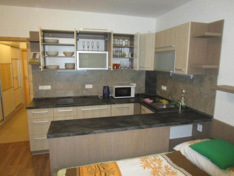Apartman Ricky V Orlickych Horach Wüstenei Εξωτερικό φωτογραφία