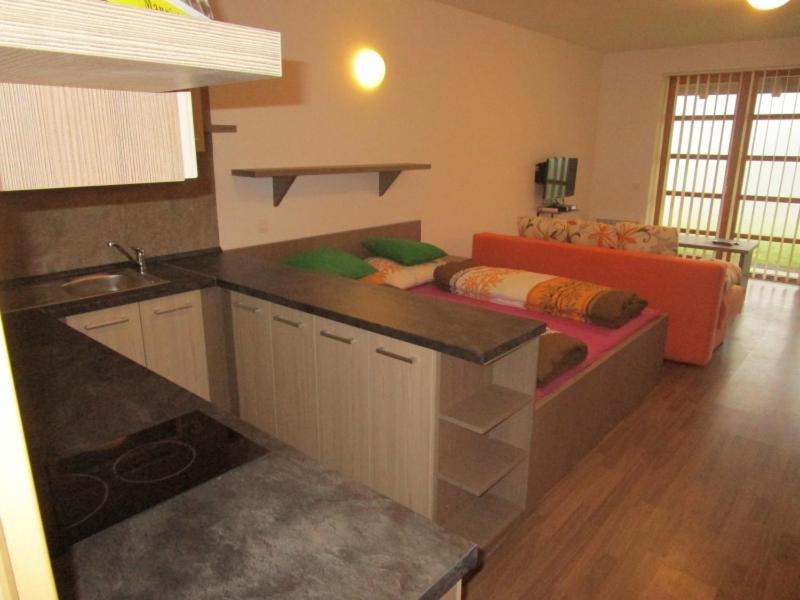 Apartman Ricky V Orlickych Horach Wüstenei Εξωτερικό φωτογραφία