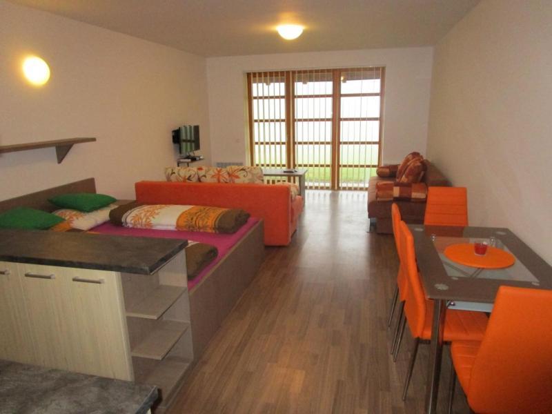 Apartman Ricky V Orlickych Horach Wüstenei Εξωτερικό φωτογραφία
